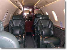 Citation Excel
